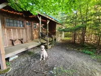 Cottage 7min to Ski Stratton-Wood Stove,Starry Skies,Fire Pit,Views,Dogs OK