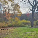 Josiah Keith House Hotels in Raynham