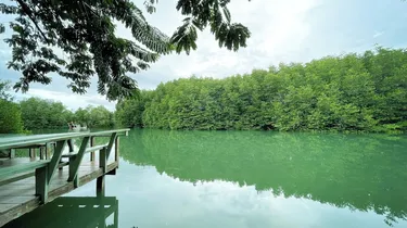 รูปภาพของริมศิรา