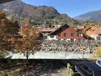 Historic Hotel Steinbock - Mountain view