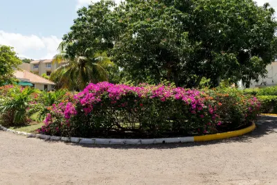 Baywatch Beach at Montego Bay Club Hotels in 