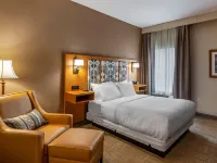 Comfort Inn Hotels in Missoula