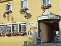 Hotel Grüner Baum Hoteles en Naila