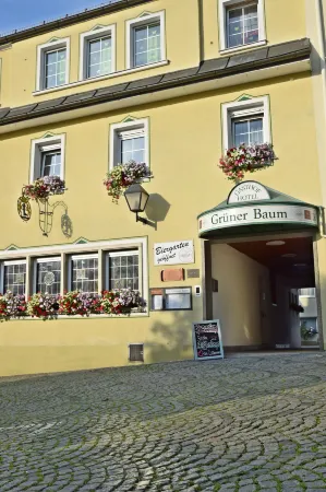 Hotel Grüner Baum Отели в г. Бланкенштайн