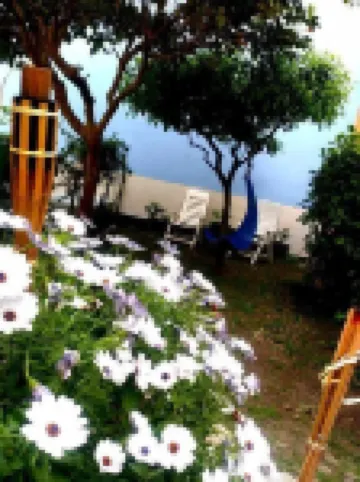 Homstel Beach - Taormina Hostel Hotels in 