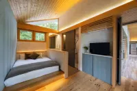 Villa Metsä Karuizawa - Yüzme Havuzu