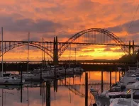 The Newport Belle Hotels in Newport