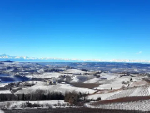 Villa Bellavista Alba, B&B Hotels in Alba