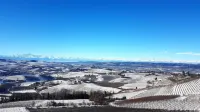 Villa Bellavista Alba