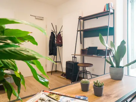 Brunnen Apartments Отели в г. Нюрнберг