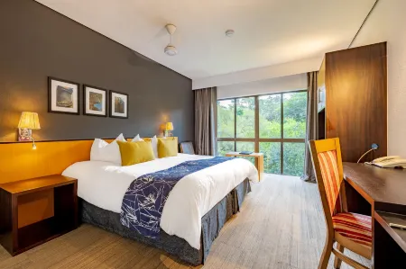 Sanbonani Hotel Отели в г. Хейзивью