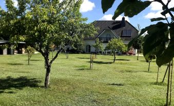 Room in Apartment - Haus Im Grünen / House in the Green