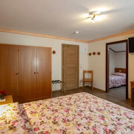Hotel Stella Alpina Hotels in Bellamonte