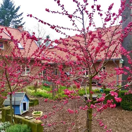 Großzügiges Ferienhaus in Ruhiger Waldlage - Urlaub auf dem Lande