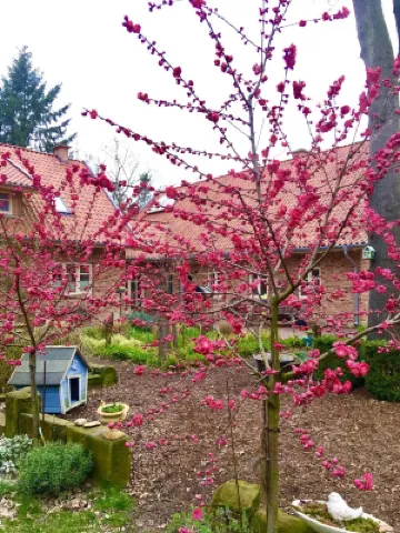Großzügiges Ferienhaus in Ruhiger Waldlage - Urlaub auf dem Lande
