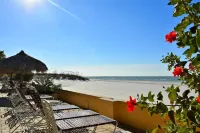 Sale Aug Sept OCT Nov Dec lo Week Rate Villa Madeira Condo Direct Gulfbeach View - 2-Star