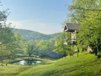 The "Hang-over"  Winery Treehouse