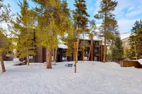 Serene ski-in/out condo with Shared Hot Tub - Access to Lifts Hotels in Copper Mountain