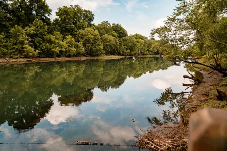 Resort View, Firepit and Fishing Dock - Charming Tranquil Cabin