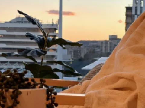 Boho retreat near The Gabba with stunning views Hotels in Kangaroo Point