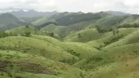 Moon Palace Hill Stay Hotels in Vagamon