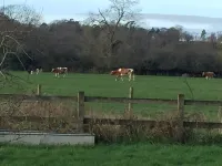 Beautiful holiday home on the outskirts of the New Forest.