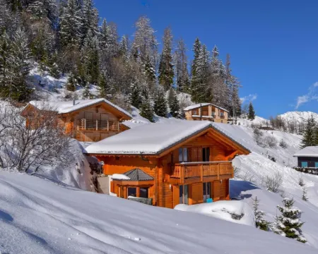 Chalet Belle Roche Recently Renovated Jacuzzi Hotels in Riddes