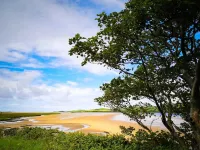 The Snuggly Sheep Shepherd Hut Campview Farm Stay