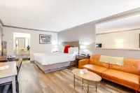 더 게스트 로즈 게인즈빌