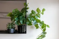 엘리엇 스위트 O7 - 도니니 아파트먼트 - 4성급
