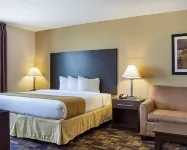 Quality Inn & Suites - Lemmikkieläimet sallittu