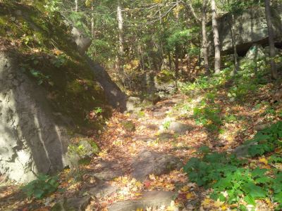 Surroundings DoubleTree Fallsview Resort & Spa by Hilton Niagara Falls Photo