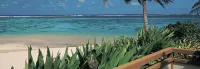 Palm Grove - con vista montagne