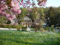 Hotel Restaurant Paradeismühle Hotels in Klingenberg am Main
