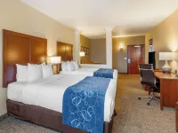 Comfort Suites Near Denver Downtown Hotels near Trve Brewing