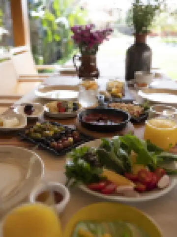 파차마마 알라카티