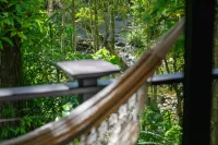 Silky Oaks Lodge - Romantic