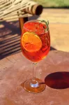 奧瑞納生態海灘飯店 - 酒吧