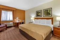 Quality Inn & Suites Raleigh Durham Airport