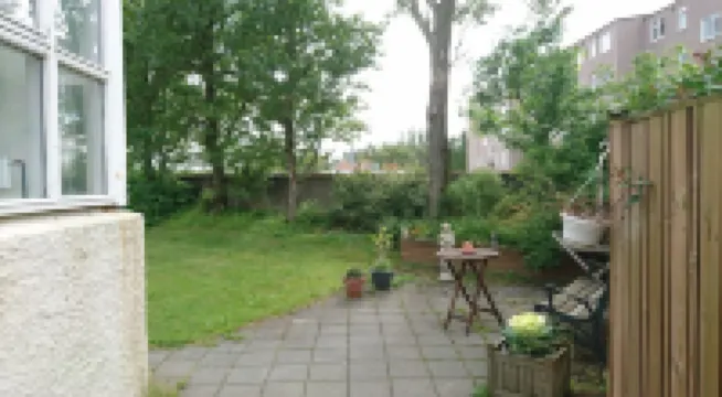 Alba Guesthouse Hotels in 