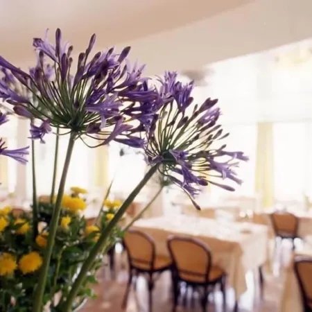 Hotel Torremaura Fronte Mare Con Beach Club