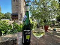 老德意志葡萄酒吧高級酒店 呂德斯海姆酒店