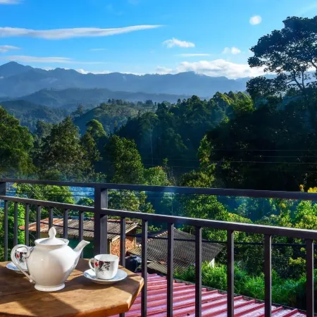 Ella Nature Life Guest and Restaurant