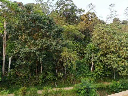 Thilini Hotel Apartment Отели рядом с достопримечательностью «Sivali Central College Playground»