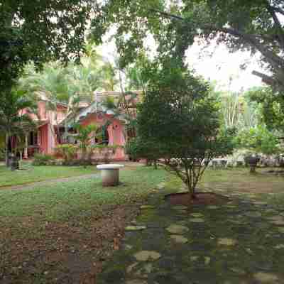 Villa Sunshine Hotel Hotel Exterior
