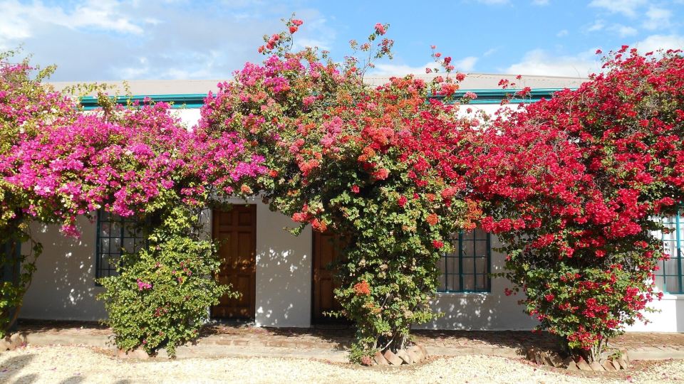 Obesa Lodge