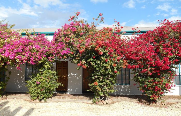 Obesa Lodge
