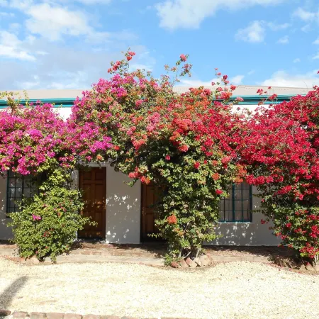 Obesa Lodge