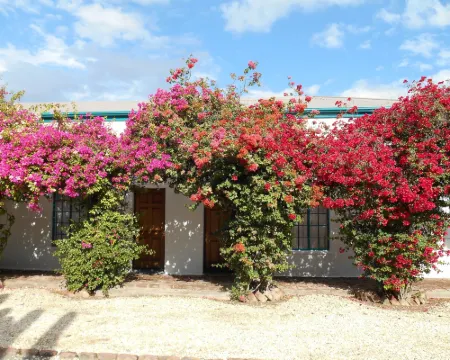 Obesa Lodge Hotels in Western District