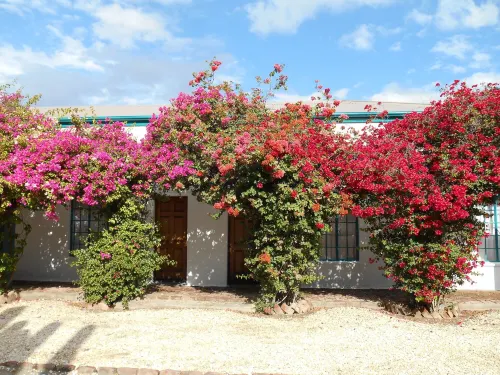 Obesa Lodge Hotels in Camdeboo Local Municipality